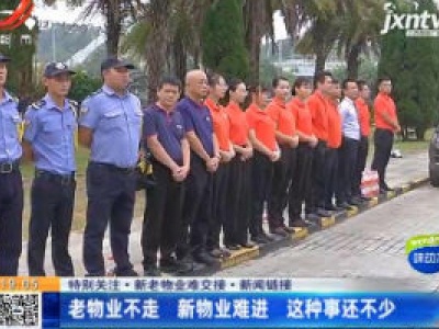 都市现场20201102