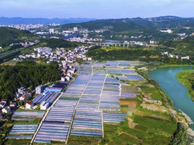 江西涉农扶贫资金使用情况调查