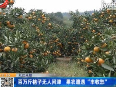 九江永修：百万斤桔子无人问津 果农遭遇“丰收愁”