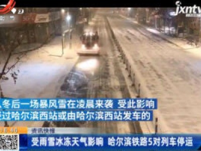 受雨雪冰冻天气影响 哈尔滨铁路5对列车停运