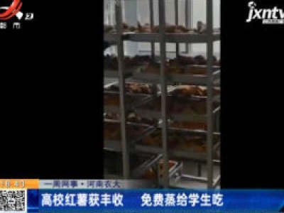 【一周网事】河南农大：高校红薯获丰收 免费蒸给学生吃