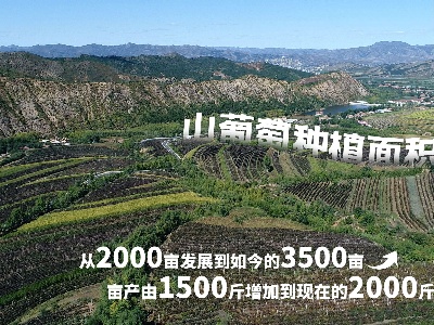 向总书记报告丨金鞍跃马好扬鞭