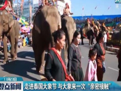 走进泰国大象节 与大象来一次“亲密接触”