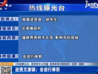 【《热线曝光台：路旁树木太茂盛 亟需修剪消除隐患》反馈·南昌】进贤文港镇：会进行修剪