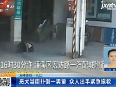 【直播连线】九江：恶犬当街扑倒一男童 众人出手紧急施救