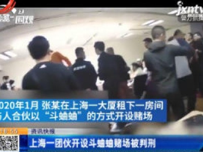 上海一团伙开设斗蛐蛐赌场被判刑
