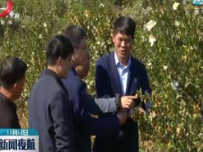 上饶：省气象、农业部门助力油茶丰收