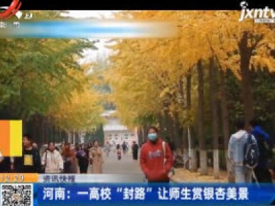 河南：一高校“封路”让师生赏银杏美景