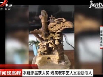 浙江：木雕作品获大奖 残疾老手艺人义卖助他人