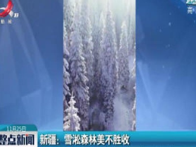 新疆：雪淞森林美不胜收