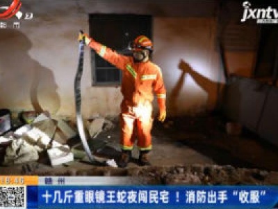 赣州：十几斤重眼镜王蛇夜闯民宅！消防出手“收服”
