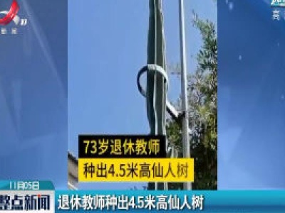 浙江：退休教师种出4.5米高仙人树