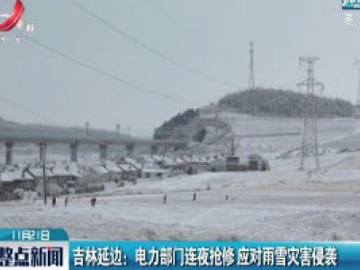 吉林延边：电力部门连夜抢修 应对雨雪灾害侵袭