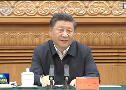 习近平出席上海合作组织成员国元首理事会第二十次会议并发表重要讲话