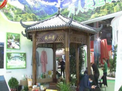 首届江西林业产业博览会开展