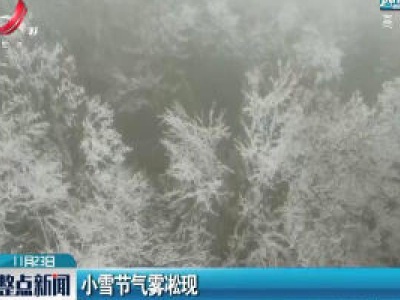 张家界：小雪节气雾淞现