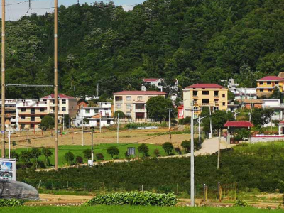 人保财险宜春分公司为宜春市袁州区竹亭镇社江村脱贫致富上了双保险