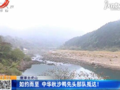 鹰潭龙虎山：如约而至 中华秋沙鸭先头部队抵达！