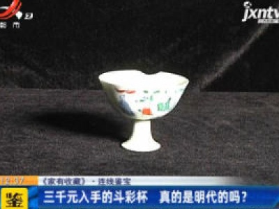 【《家有收藏》·连线鉴宝】三千元入手的斗彩杯 真的是明代的吗？