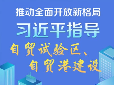 图解：习近平指导自贸试验区、自贸港建设
