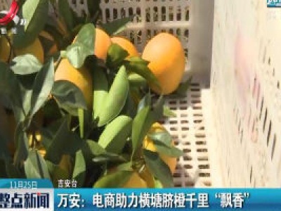 万安：电商助力横塘脐橙千里“飘香”