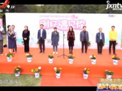 都市情缘20201101 刚好遇见你