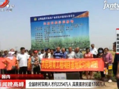 全国农村实用人才约2254万人 高素质农民超1700万人