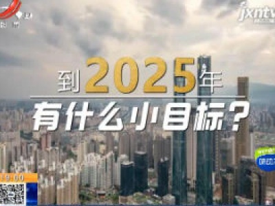 到2025年 有什么小目标？