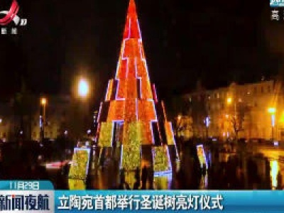 立陶宛首都举行圣诞树亮灯仪式