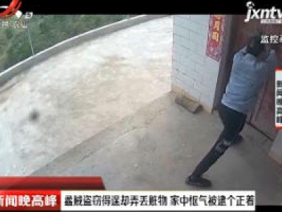 长沙：蟊贼盗窃得逞却弄丢赃物 家中怄气被逮个正着