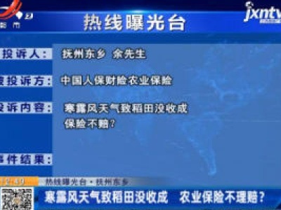 【热线曝光台】抚州东乡：寒露风天气致稻田没收成 农业保险不理赔？