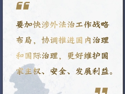 掷地有声！推进全面依法治国怎么做？习近平提出这11个方面要求