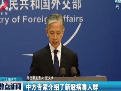 外交部：中方将继续参与新冠病毒溯源全球科学研究