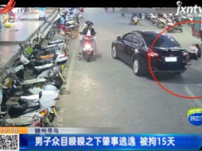 赣州寻乌：男子众目睽睽之下肇事逃逸 被拘15天