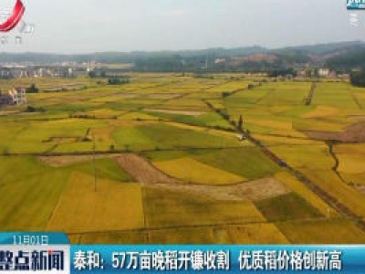 泰和：57万亩晚稻开镰收割 优质稻价格创新高