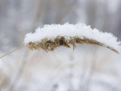 今日小雪，来看看南昌初雪什么时候下？ 