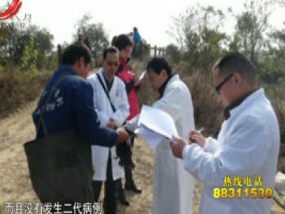 医心20201108