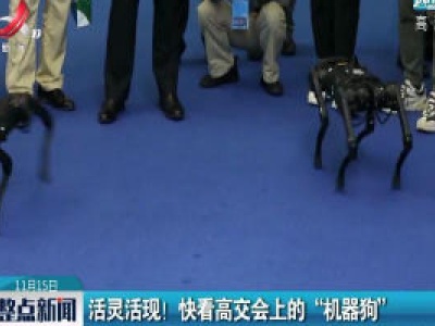 深圳：活灵活现！ 快看高交会上的“机器狗”