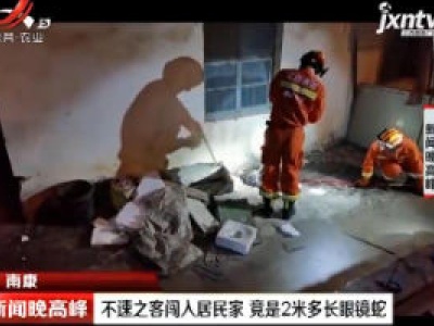 南康：不速之客闯入居民家 竟是2米多长眼镜蛇