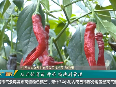 发展农村集体经济 激发乡村振兴活力