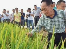 袁隆平，又定了两个“小目标”！