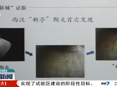 陕西发现西汉早期大型墓地 为咸阳曾用名“新城”增加证据