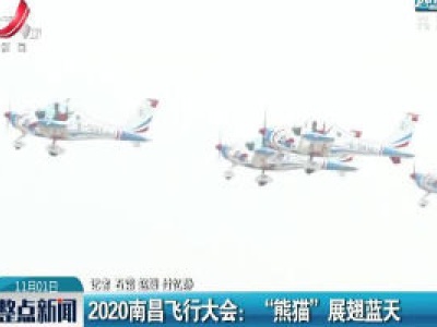 2020南昌飞行大会：“熊猫”展翅蓝天