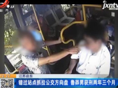 江苏启东：错过站点抓拉公交方向盘 鲁莽男获刑两年三个月