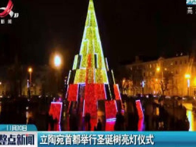 立陶宛首都举行圣诞树亮灯仪式