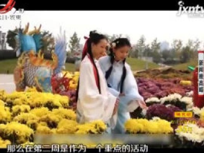 南昌市第32届菊花展：年年花相似 岁岁展不同