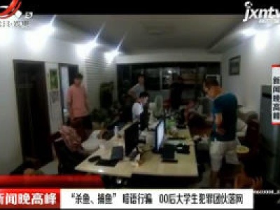 无锡：“杀鱼、捕鱼” 暗语行骗 00后大学生犯罪团伙落网