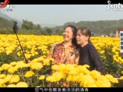 稻花香里20201113