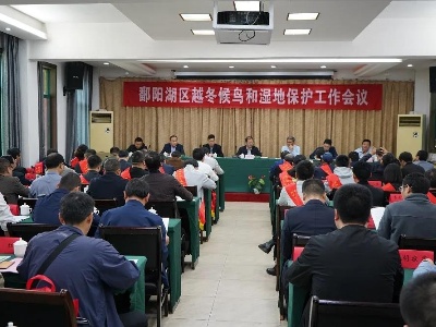 鄱阳湖区越冬候鸟和湿地保护工作现场会在南昌召开