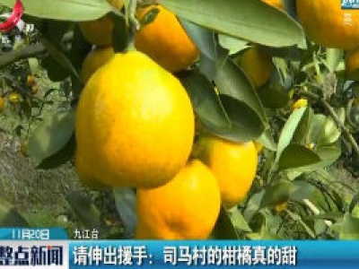 九江：请伸出援手 司马村的柑橘真的甜